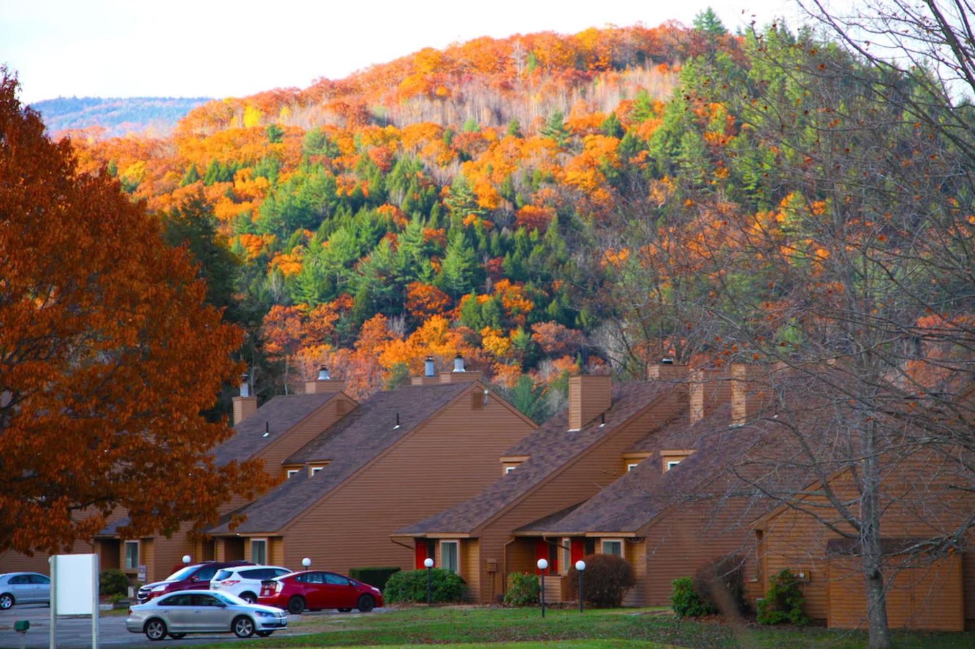 Cold Spring Plymouth Resort 阿什兰 外观 照片